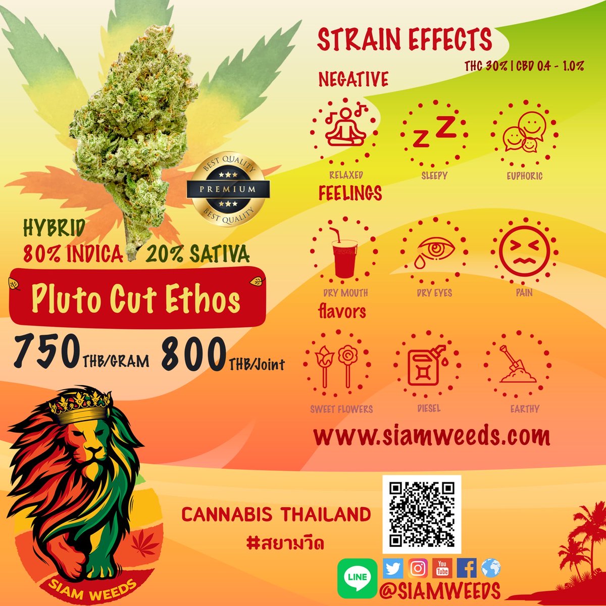 cannabis princess tweet media