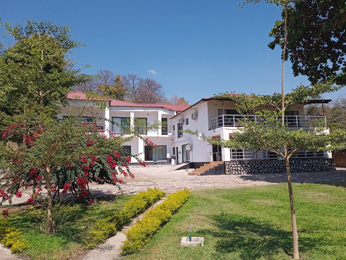 rusticuniverse's tweet photo. Options are many, how much did you put aside for accommodation in Monkeybay?
#Famcation
#Baecation
#Retreatcation
Whatever the occasion...
#Your#1Tourism-Hospitality🔌🇲🇼
#GoshenCitySuper🔌
#Monkeybay https://t.co/vgrwauOB8I