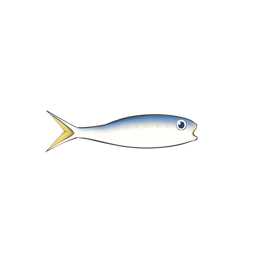 no humans animal focus white background simple background fish from side animal  illustration images