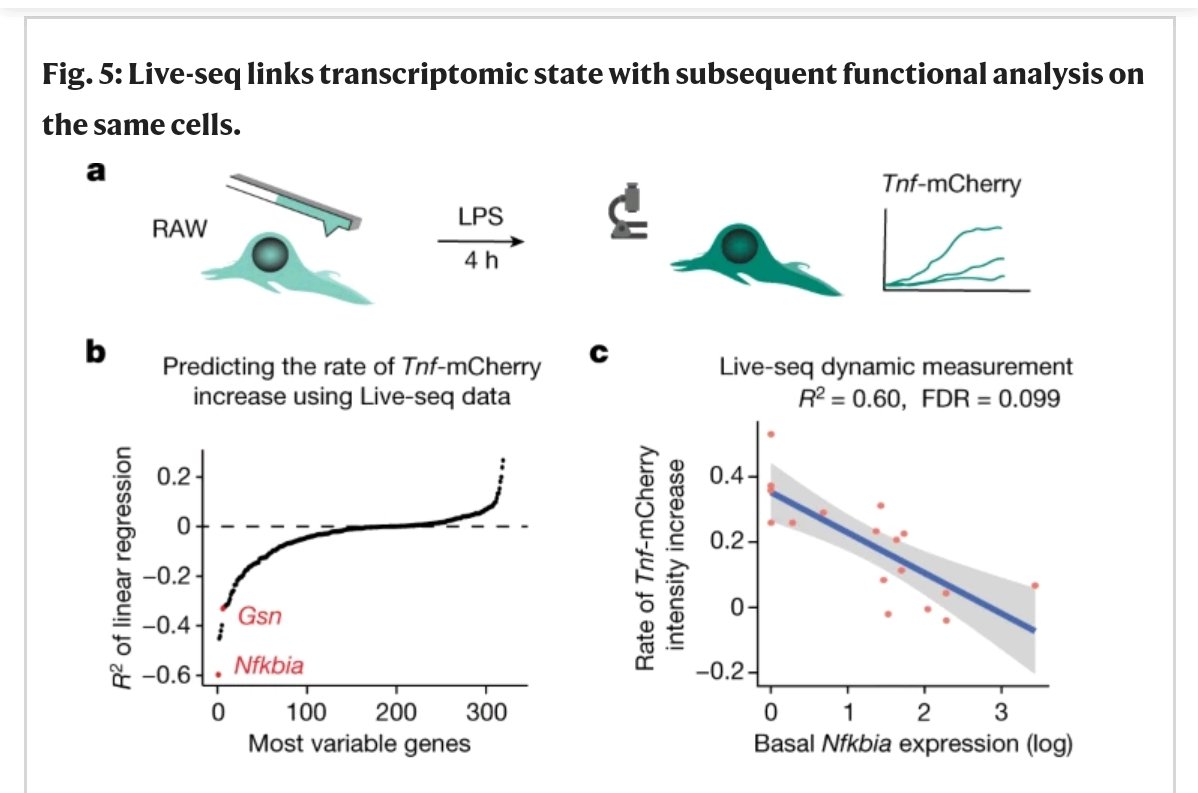 anu_iris's tweet photo. Live-seq=single-cell transcriptome profiling &amp; downstream molecular/functional analyses on the same cell at distinct time points!!!🧬🧬🧬
Method: Fluidic force microscopy 🔬
#systemsbiology #Bioinformatics #transcriptomics #singlecellseq 
https://t.co/c0f8m4w6ID https://t.co/6XD61KV8gO