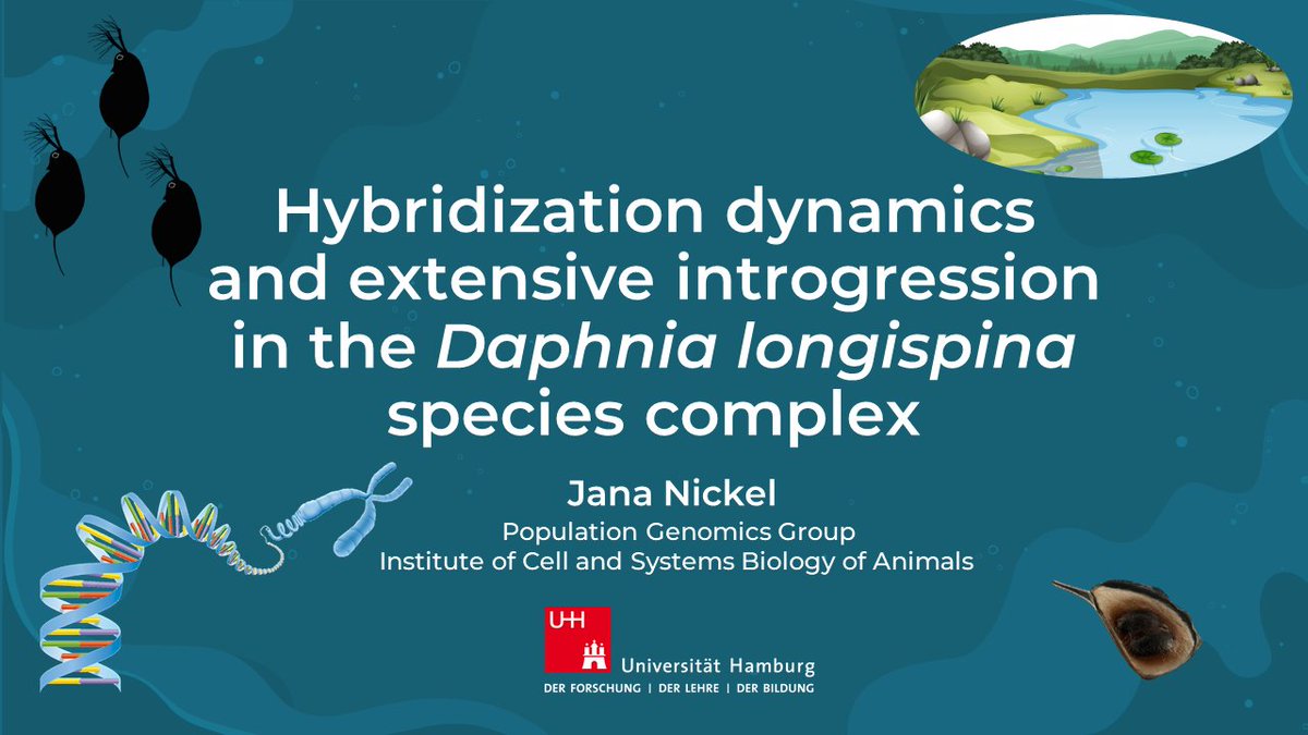 JanaNickel_sci's tweet photo. #ESEB2022 is not quite done yet! Come to my talk to find out about the weird hybrid genomes of Daphnia in the S24 adaptation genomics session on Friday 9:45 in South Hall 2B 🧬 https://t.co/6OqmA2oM5O