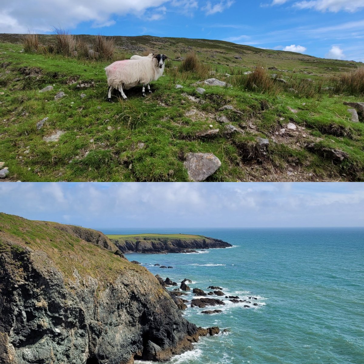 everettsrest's tweet photo. Our @harvest_fest lunch theme is "from mountains to sea - a lunch with Waterford at its centre". 3 courses with wine pairings (€65pp) showcasing the region's best produce. 1pm Sat, 10 Sep. To book please call 051325174 or email everettsrestaurant@gmail.com
#HarvestFestival22 https://t.co/57HyCc2wKx