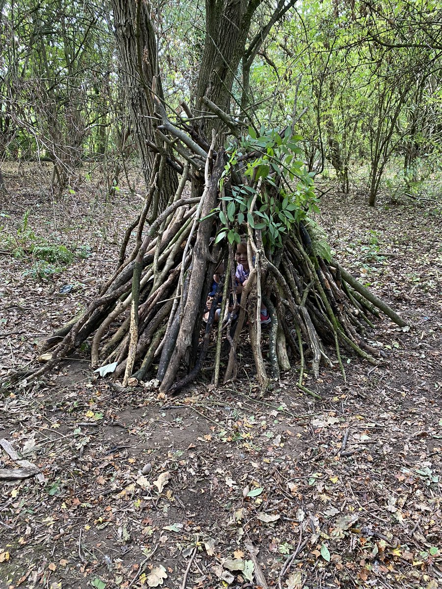 KateWard03's tweet photo. @LyndonGInfant - summer forest school lesson going on here! How to make your own den. Harriet and Jake loved it! Mrs Carter - watch out! 👀 Forest survival school with the picking of blackberries and damsons if they ever need food. Learning about fern to keep them dry! https://t.co/Cu65W681uV
