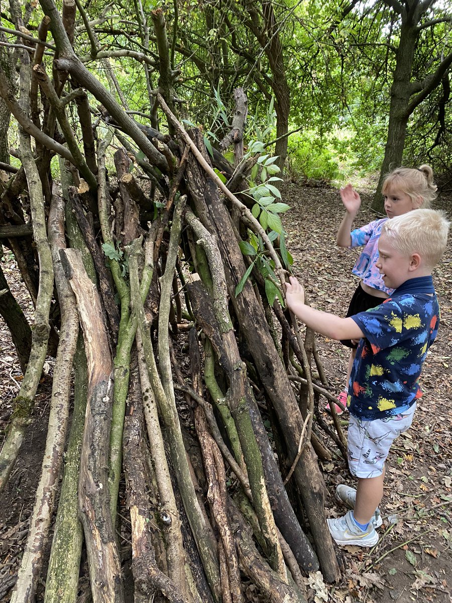 KateWard03's tweet photo. @LyndonGInfant - summer forest school lesson going on here! How to make your own den. Harriet and Jake loved it! Mrs Carter - watch out! 👀 Forest survival school with the picking of blackberries and damsons if they ever need food. Learning about fern to keep them dry! https://t.co/Cu65W681uV
