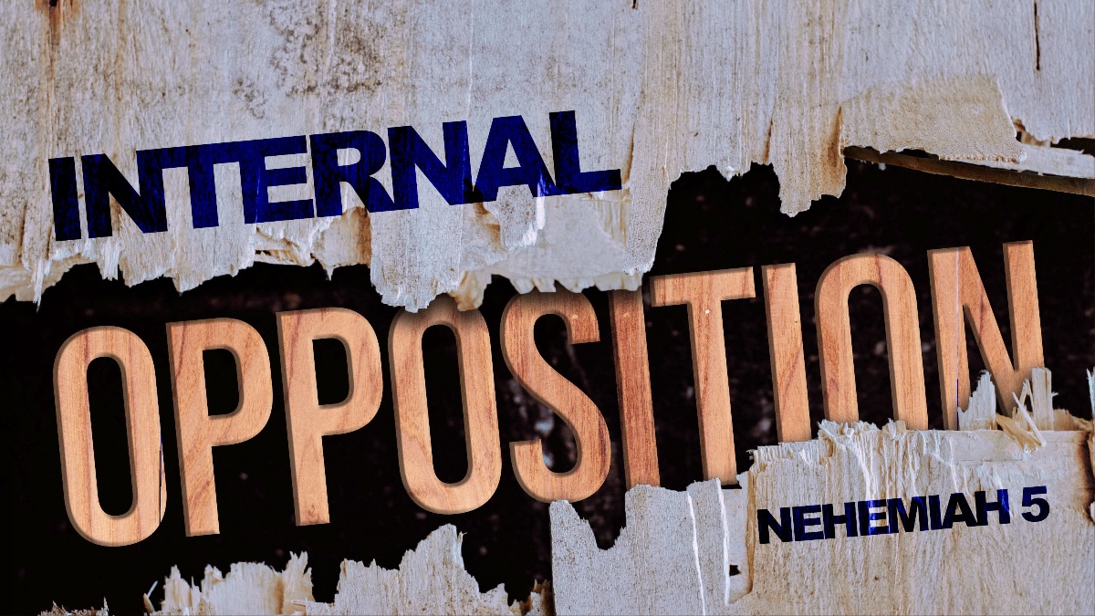 SWCPLo's tweet image. Weekend Update August 21st - mailchi.mp/54583719306c/w…