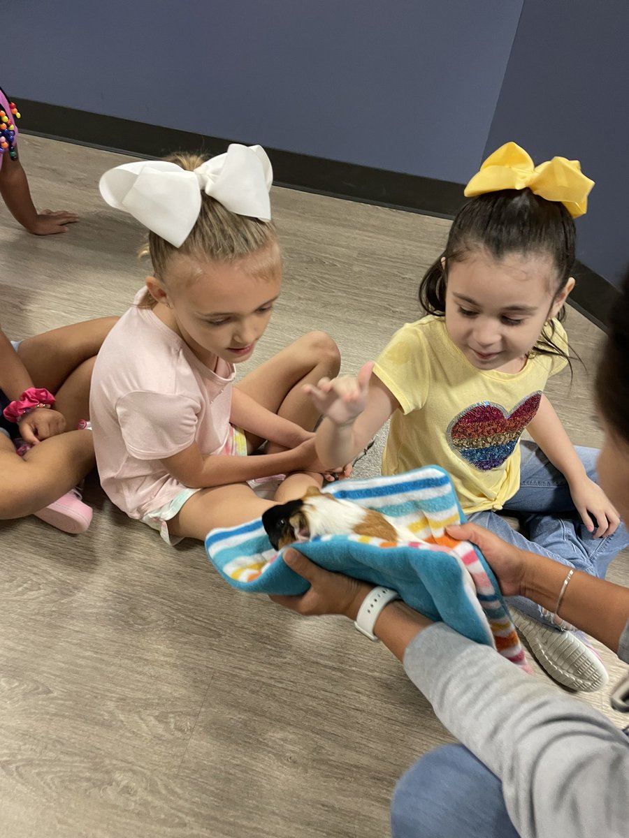 Amanda Iverson tweet media