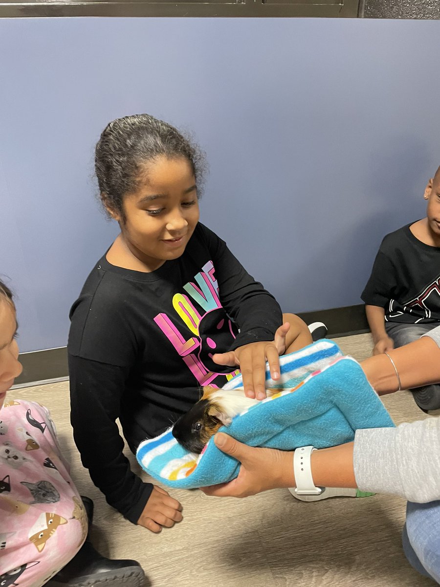 Amanda Iverson tweet media