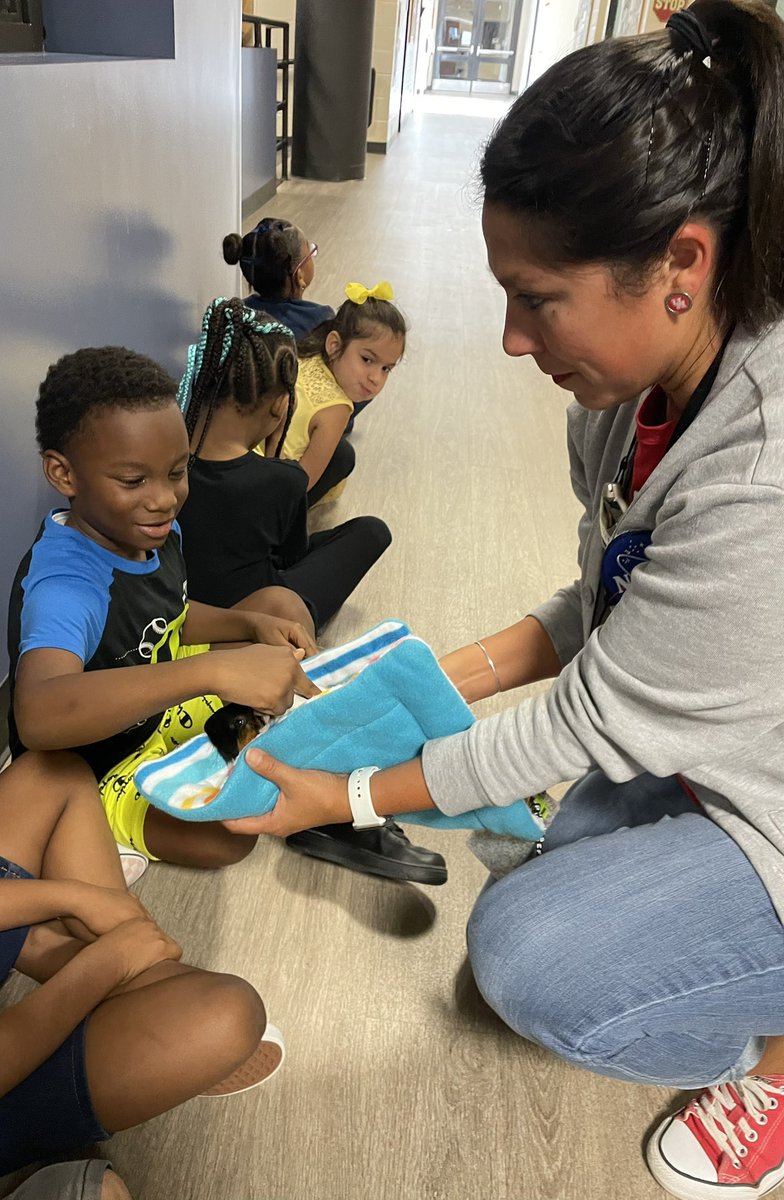 Amanda Iverson tweet media