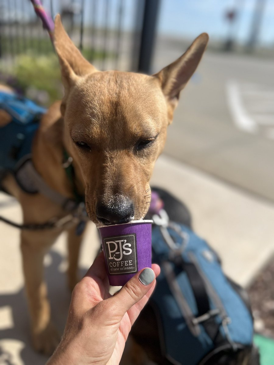 Elizabeth Hurst tweet media