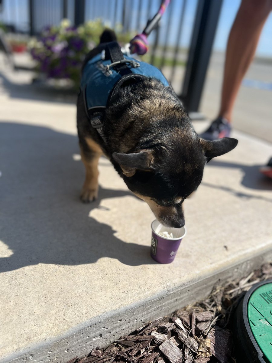 Elizabeth Hurst tweet media