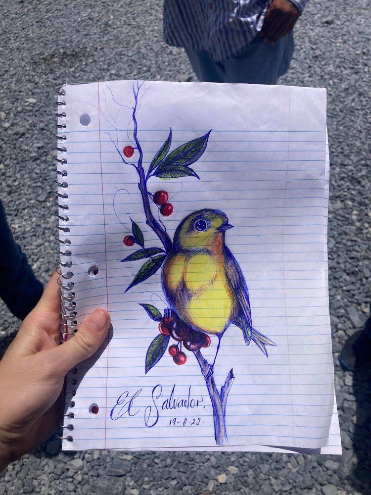 Solidarity Engineering tweet media