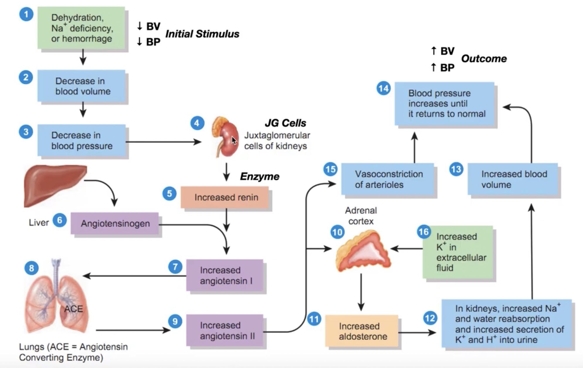 MD Oct 2022 on Twitter: 