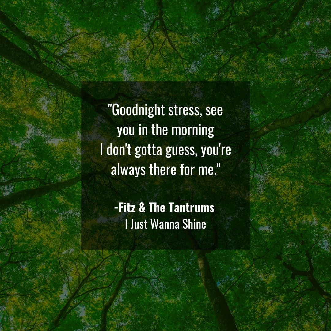 Seize the day.

I just wanna climb to the top of a mountain
Standing tall when I'm howlin'
'Cause today's gonna be my day

Frontman Michael Fitzpatrick says: "Sometimes you just gotta climb to the tallest building &amp; shout your name out as loud as you can!"