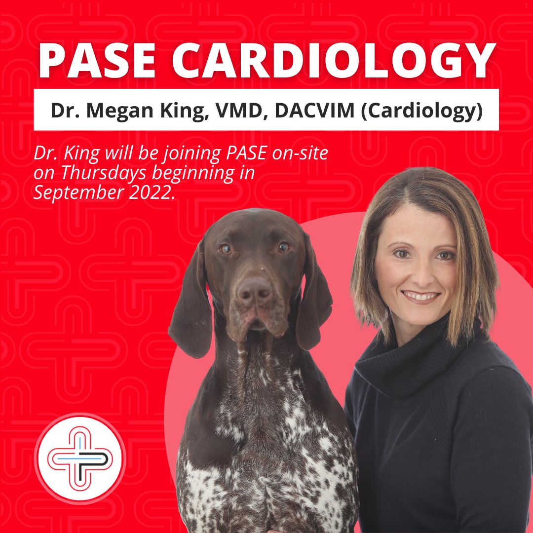 PASEVets's tweet photo. Meet our NEW #Cardiologist: Dr. Megan King, VMD, DACVIM (Cardiology) 🐾 PASE Cardiology Service to Resume September 8

Learn more about PASE's Cardiology Service and our cardiologist, Dr. King: https://t.co/UDUEXBl7ap 

#MeetOurTeam #VetMed #VeterinaryMedicine https://t.co/wU0022FB85