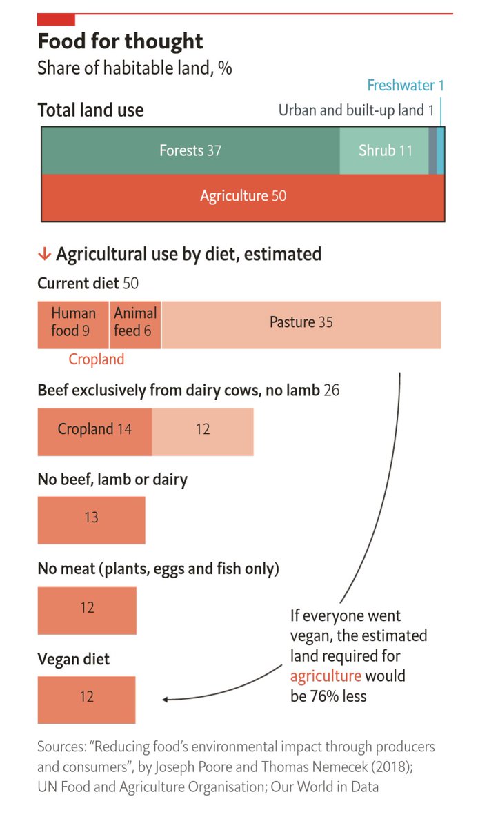 MichalPekala's tweet photo. If everyone were vegan, agriculture would need just a quarter of the land it uses today. Even a diet avoiding only meat from cattle &amp; sheep would cut land use in half. What might that surplus space be used for? For forestry, or restored to rainforest.

1/3
https://t.co/i5YSiDteiJ https://t.co/OS9LETtIRB