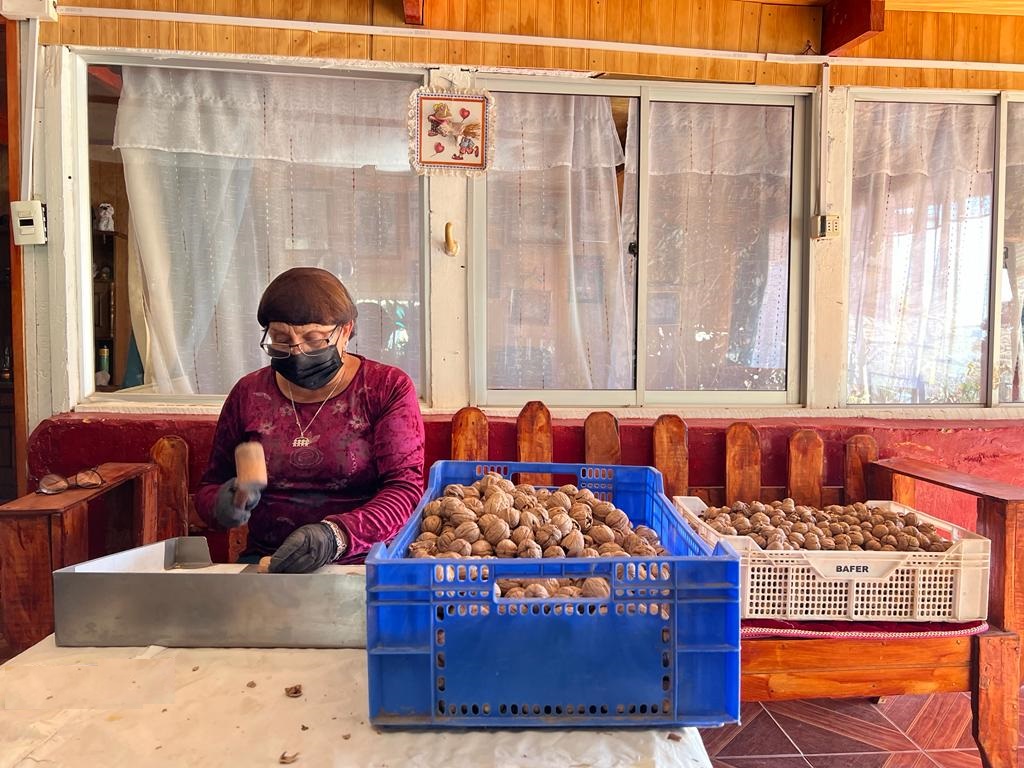 Indap_coquimbo's tweet photo. 📍Continuamos visita a Coop @limari_nuts conociendo su forma de trabajo y desafíos a corto y mediano plazo

El proceso de partido y pelado de la🌰es clave y es realizado por👩‍🌾del sector #LosClonquis comuna de #MontePatria en sus🏠generando beneficio directo a ellas y sus familias https://t.co/MAo39MOAwC