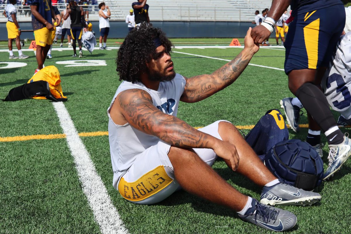 Reinhardt Football tweet media