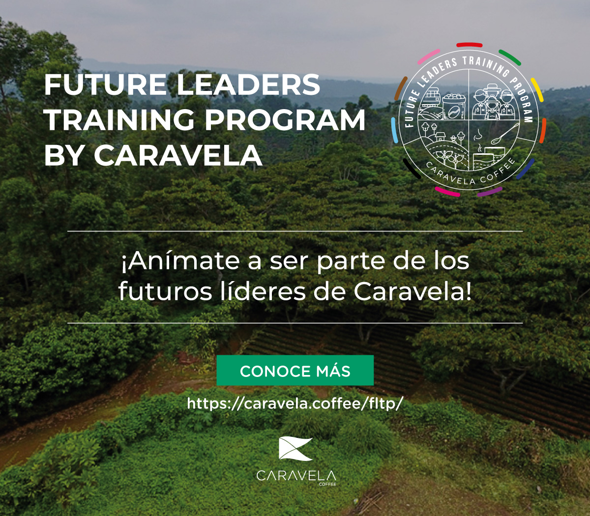 En Caravela estamos buscando a nuestros futuros líderes! Te invitamos a conocer más acerca de esta convocatoria en el siguiente link:
caravela.coffee/fltp/