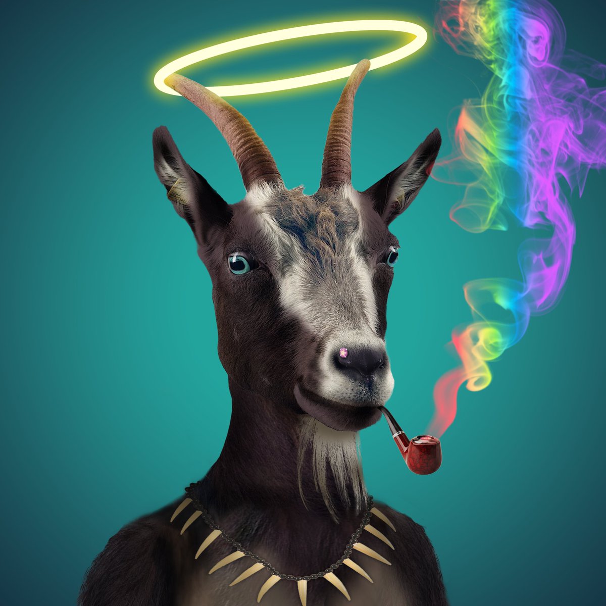 ChBS91's tweet photo. Another angel goat has landed, this goat has no wings so uses other methods to fly 💨🌈. @LoganDiston please collect your goat.

#covertagoat #goattribe #LFGoat https://t.co/C9KobVIofF