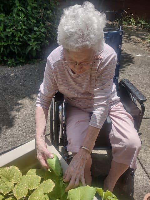 masonic_ky's tweet photo. It's lovely weather to check on the plants, veggies and flowers growing in the garden and to refill the bird feeders!🐦 We hope you're able to enjoy some of this sunshine too.
#outdoors #gardening #lovegrowshere #sunnyda https://t.co/p5LIl6NUJl