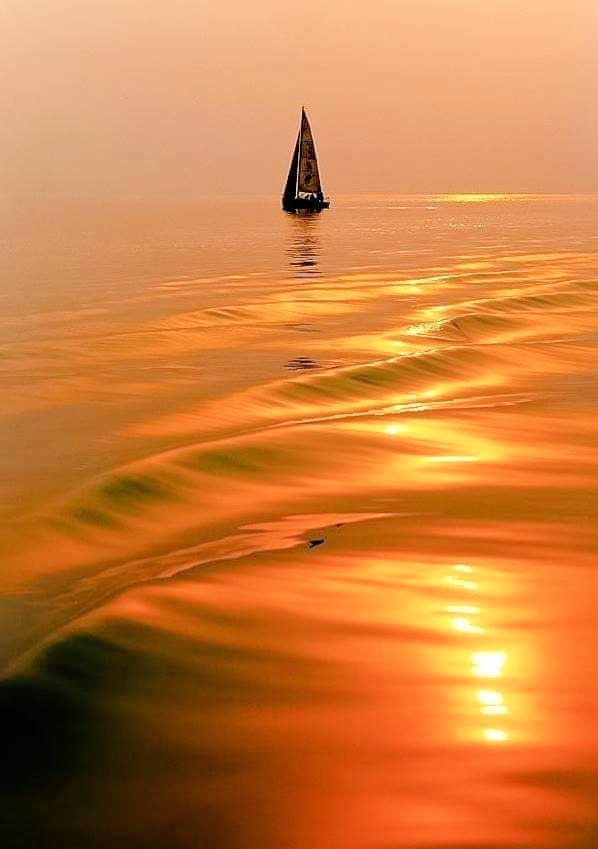 s_msonia's tweet photo. En un círculo perfecto,
donde la única salida es
hacia adentro,
donde contempla el corazón
y habla el alma.
#BuenastardesaTodos
#MagicOrange 🧡 #microcuento
#FelizJuevesATodos
#goodpersons
#magicsea #orangewaves https://t.co/IuGqRTqDoE