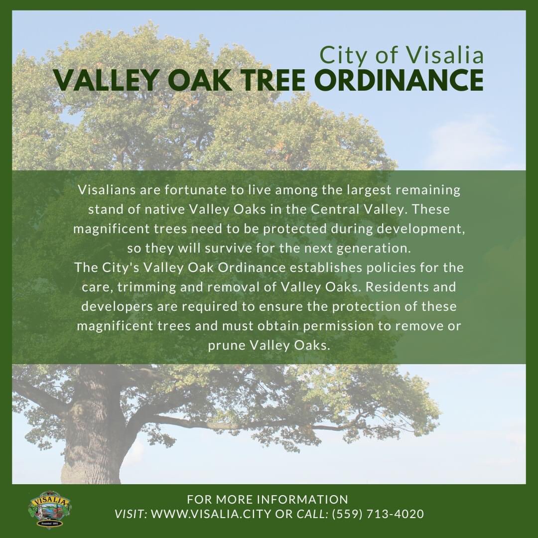 We are fortunate to live among the largest remaining stand of native Valley Oaks in the Central Valley. These magnificent trees need to be protected during development, so they will survive for the next generation.

For more info. visit:
visalia.city/depts/parks_n_…