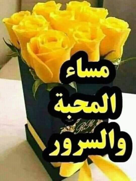 موجب صنعاء (@4n8svi6ogorc9jj) on Twitter photo 