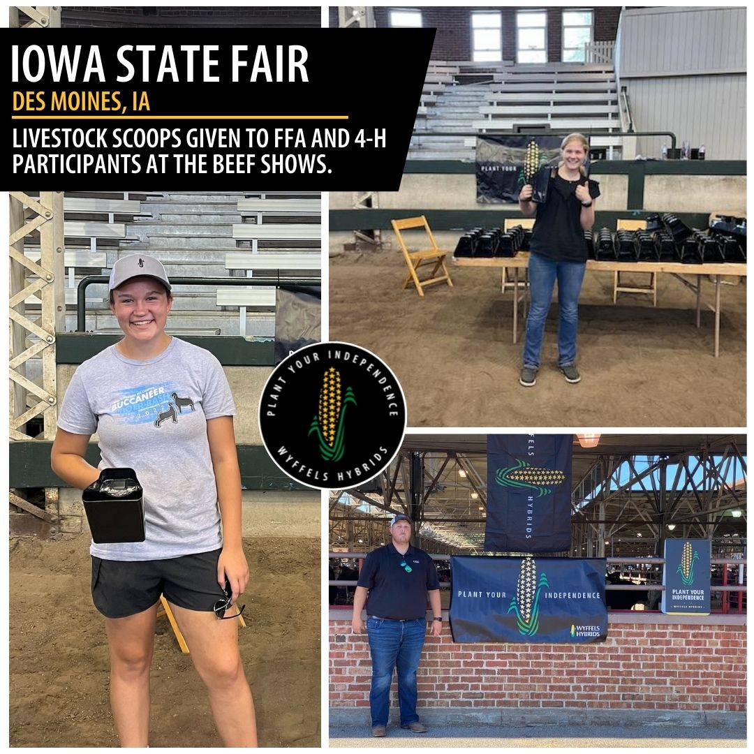 Wyffels is at the iconic @IowaStateFair! We were happy to give away livestock scoops to all FFA and 4-H participants at the beef shows.

#ISFFindYourFun #PlantYourIndependence #WyffelsHybrids
