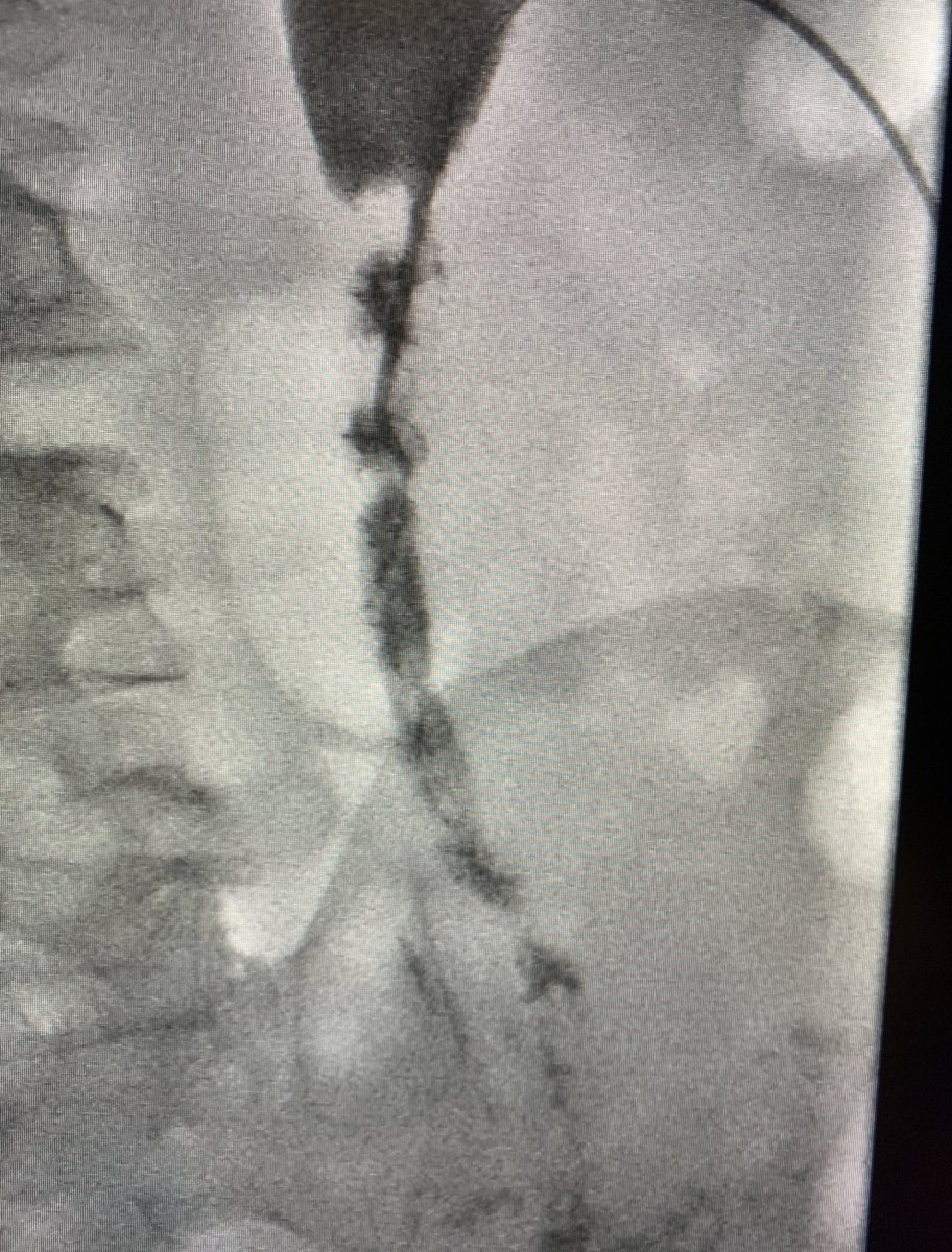 Naif Alsaikhan | د. نايف بن حمد الصيخان tweet media