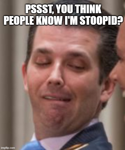 <a href="/DonaldJTrumpJr/">Donald Trump Jr.</a>
