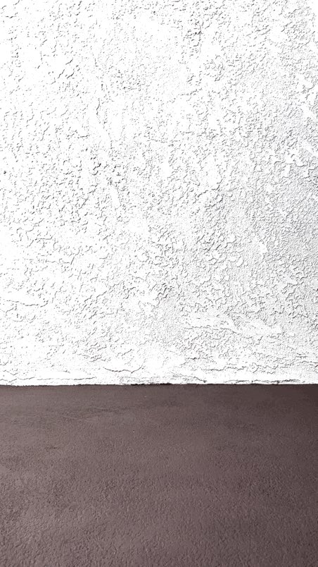 Marisa Haviland tweet media