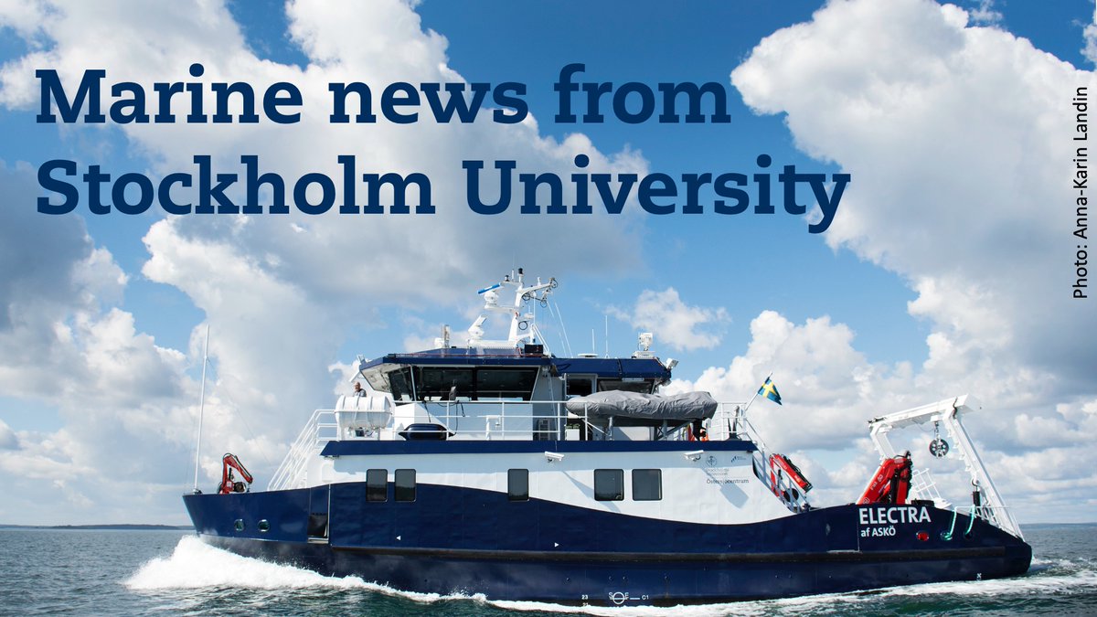 Newsletter out with marine news from @Stockholm_Uni ! 🌊 Electra on major expedition to map Baltic Sea methane 🌊 Legacy of ice ages shapes how seagrasses respond to threats 🌊 It’s raining PFAS + CALENDAR | JOBS | DISSERTATIONS Read & subscribe: su.se/marinenews