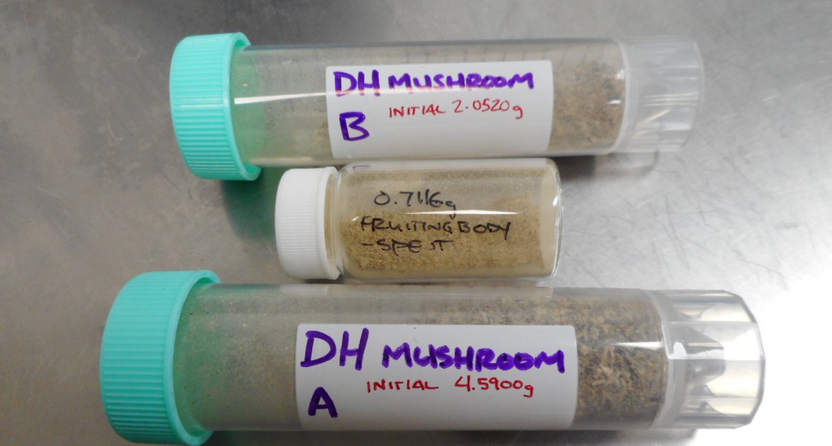 find Magic Mushrooms article to fill in here