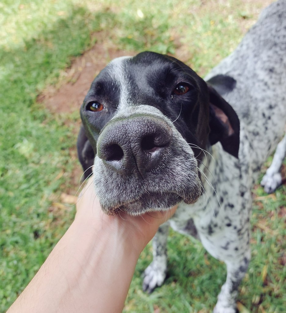 Dimafia420's tweet image. Good days ⚕💙💚💛❤🐾🪴 #sky  #viewsoniccolor #skyblue #vetlife