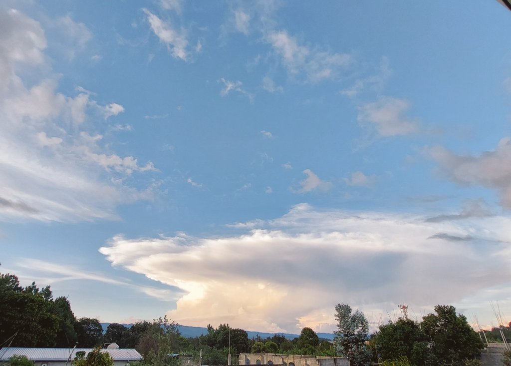 Dimafia420's tweet image. Good days ⚕💙💚💛❤🐾🪴 #sky  #viewsoniccolor #skyblue #vetlife