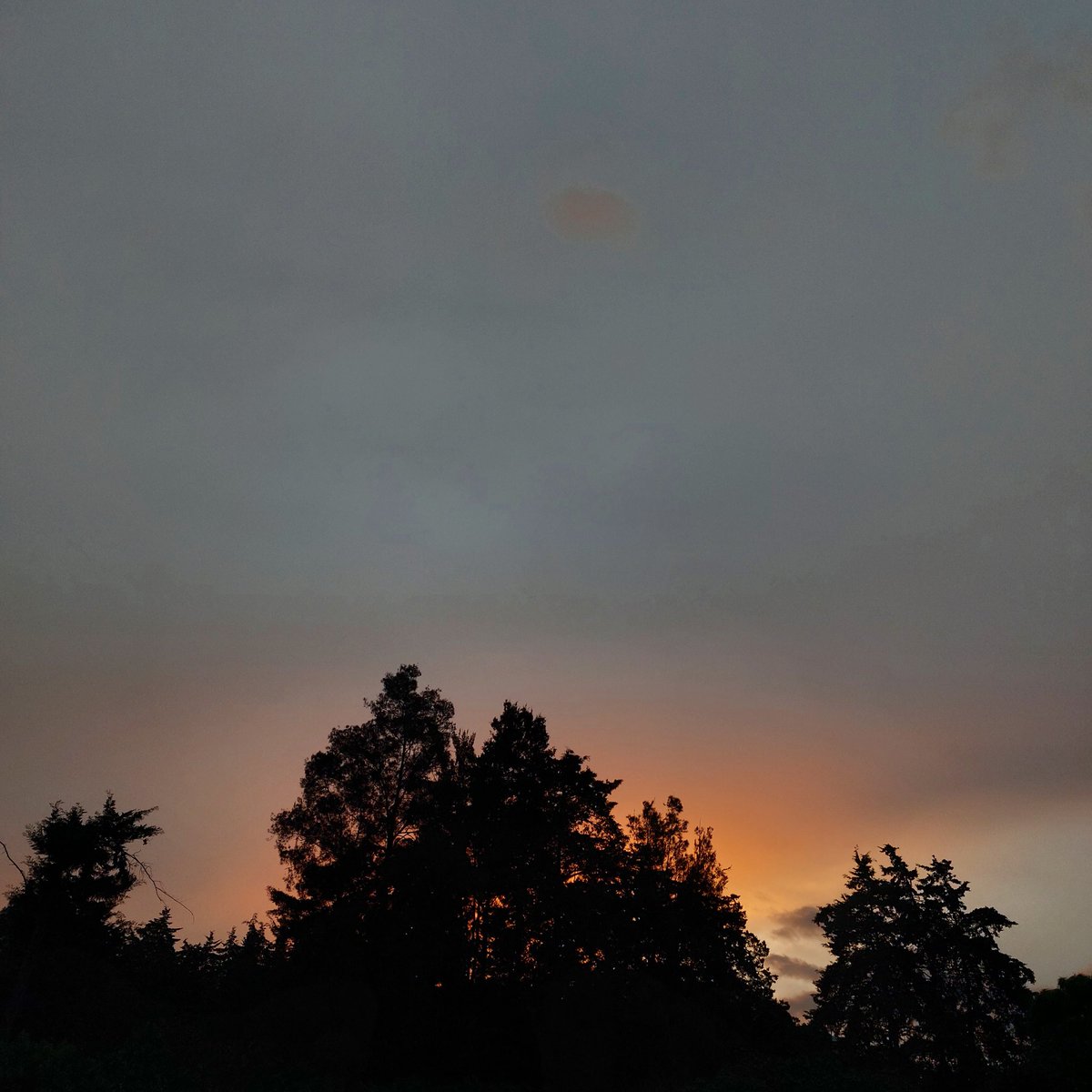 Dimafia420's tweet image. Good days ⚕💙💚💛❤🐾🪴 #sky  #viewsoniccolor #skyblue #vetlife