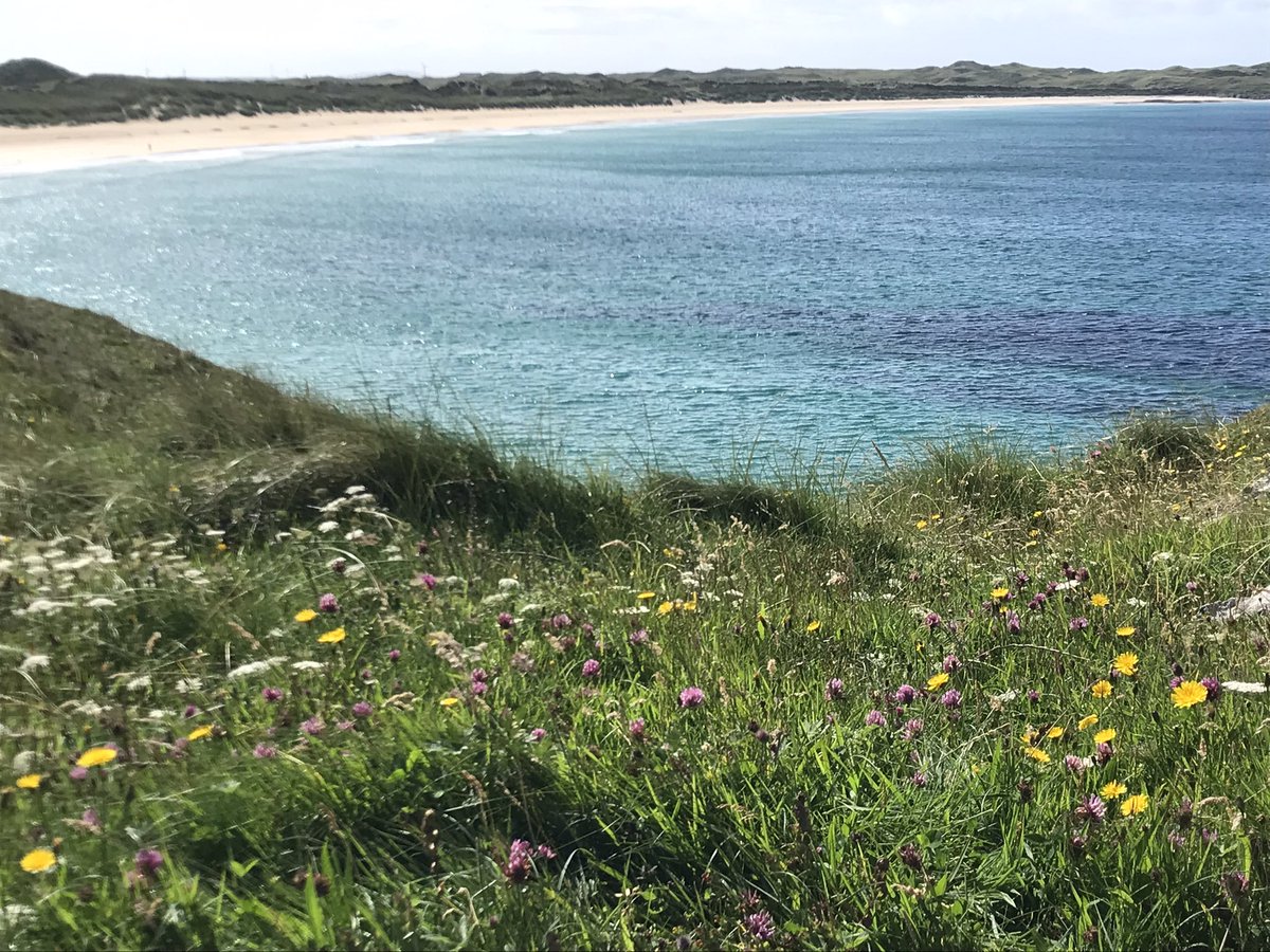 TFC1964's tweet photo. Isle of Coll is a must visit…. https://t.co/zxA6L1phHE