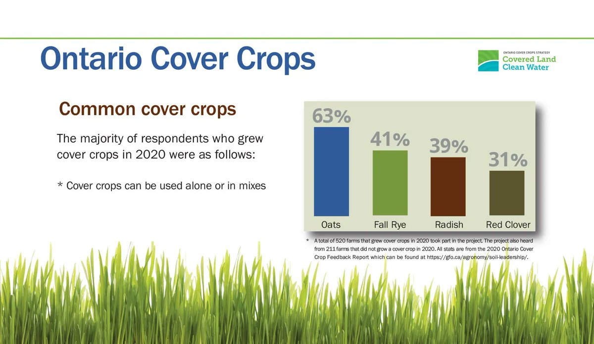 GrainFarmers's tweet image. Consider #covercrops to up your #soilhealth game. To find out which cover crop would work best for your fields try the Cover Crop Decision Tool @ buff.ly/2VQUDX9 #ontag