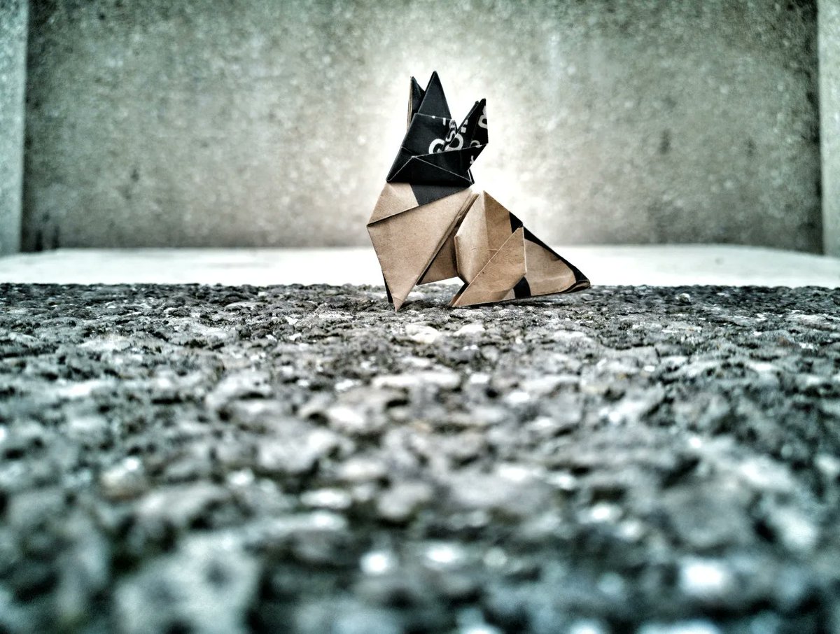 BarthDunkan's tweet photo. Howling of the wolf designed and folded by Barth Dunkan (EcOrigami).
Folded from a silver rectangle from a reclycled paper bag.
#barthdunkan #ecorigami #magicfingaz #dog #origami #paperfolding #paperart #mfpp #chien #origamidog #wolf #origamiwolf #loup #howling https://t.co/HCjIPmUFUq