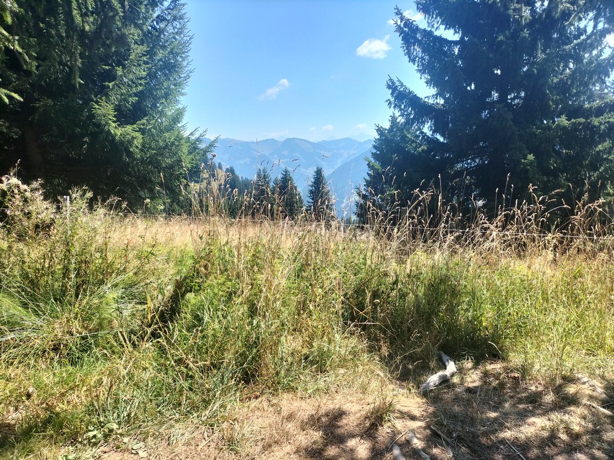 ChRolandMaths's tweet photo. 🚶🚶♀️ 🎒🎒 🏞️⛰️
#faitesdusport #faitesdelamarche #bonheur #bienêtre #nature #montagne #dénivelé
#chablais #dpt74 #hautesavoie #yaute https://t.co/HvHKkI9ytG