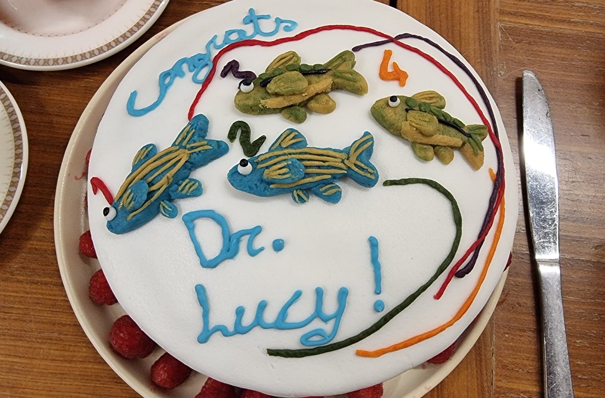 Shaun Killen tweet media