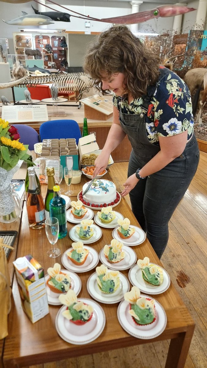 Shaun Killen tweet media