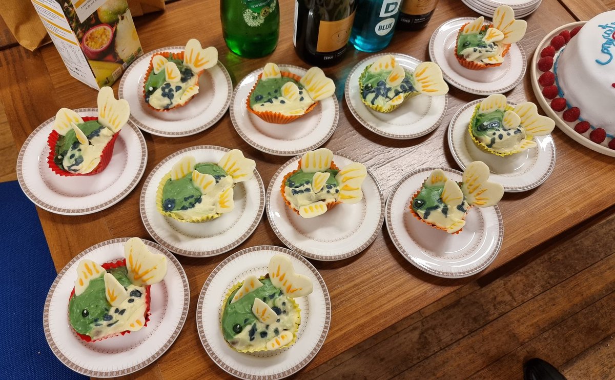 Shaun Killen tweet media