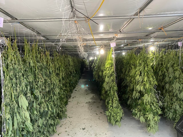 zengarden_weed's tweet photo. How it ended
#weedsmokers #hightweet #NFTs #CannabisLegale #LegalizeIt https://t.co/8rrrzsM2ep