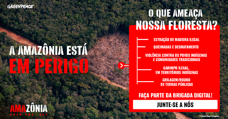GreenpeaceBR's tweet photo. A FLORESTA ESTÁ AMEAÇADA! ⚠
Precisamos agir antes que seja tarde. Centenas de milhares de pessoas já se manifestaram a favor da proteção da Amazônia, mas ainda precisamos da sua ajuda! ASSINE E COMPARTILHE para que o abaixo-assinado chegue a mais pessoas.