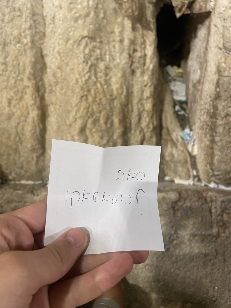 אור אלקיים tweet media