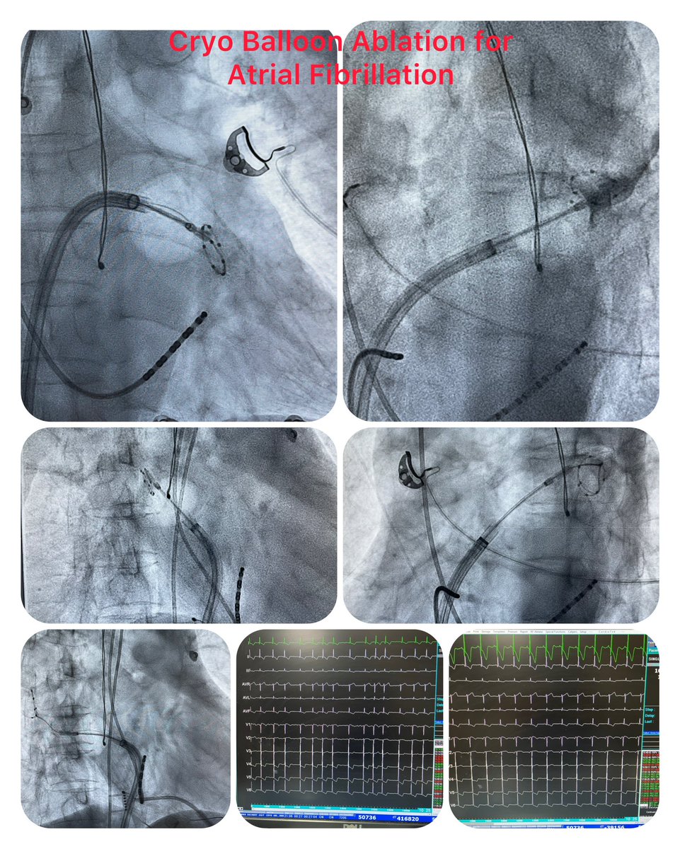 Karthigesan A M tweet media