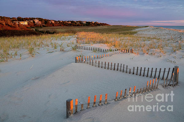 CapeCodSoul tweet picture
