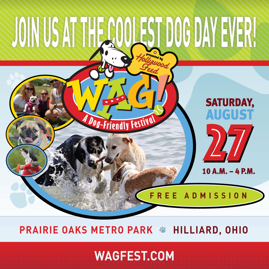 If you’re in the Columbus, OH area please join us at WagFest 2022!✨🐶

As the nation’s largest single-day dog festival, WAG! Fest presented by Hollywood Feed is a perfect day’s adventure for dogs and people together!🎉

Admission is FREE.✅

 fb.me/e/3pwQLgDr0