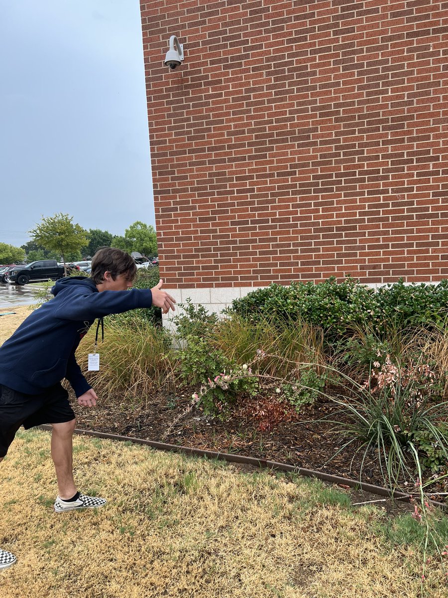 TychoBrahe0's tweet photo. Bro these bushes can’t handle me… hol up, ain’t you Nathaniel B? 🤨@mrdrewsscience https://t.co/G3OnrRP8wZ
